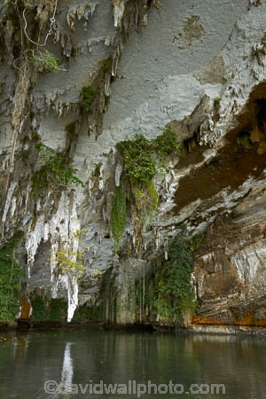Misool;Raja-Ampat;Indonesia;Asia;Southeast-Asia;South-East-Asia;Western-Indonesia;Southwest-Papua;West-Papua;inner-archipelago;cave;caves;stalactites;stalagtite;cavern;caverns;Misool-archipelago