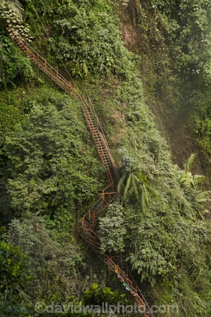 Java;Indonesia;Asia;South-East-Asia;Southeast-Asia;Coban-Sewu;Tumpac-Sewu;East-Java;Java;Indonesia;Pronojiwo-District;Lumajang-Regency;Ampelgading-District;Malang-Regency;jungle;forest;stair;stairs;stairway;stairways;ladder;ladders;risky;dangerous;adventure;East-Java
