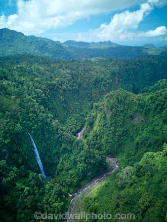 Indonesia;aerial;aerial-photo;aerial-photograph;aerial-photographs;aerial-photography;aerial-photos;aerial-view;aerial-views;aerials;drone-aerial;drone;Java;East-Java;Indonesia;Asia;South-East-Asia;Southeast-Asia;cascade;cascades;falls;scene;scenic;water;water-fall;water-falls;waterfall;waterfalls;river;rivers;Tumpak-Sewu;Thousand-Waterfalls;Tumpak-Sewu-Falls;Tumpak-Sewu-Waterfall;Tumpak-Sewu-Waterfalls;Coban-Sewu;Coban-Sewu-Falls;Coban-Sewu-Waterfall;Coban-Sewu-Waterfalls;Glidik-River;Lumajang;forest;forests;jungle;jungles;tropical-jungle;tropical;tropical-jungle;tropical-forest;tropical-forests;rainforest;rainforests