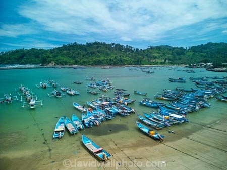 Indonesia;aerial;aerial-photo;aerial-photograph;aerial-photographs;aerial-photography;aerial-photos;aerial-view;aerial-views;aerials;drone-aerial;drone;Java;East-Java;Indonesia;Asia;South-East-Asia;Southeast-Asia;Banyuwangi-Region;Sumberagung;Pancer;Pantai-Lampon;Pancer-Hamlet;Dusun-Pancer;Pantai;Pantai-Pancer;beach;beaches;coast;coastline;Longboat;longboats;narrow-boat;narrow-boats;boat;boats;motor-boat.-motorboat;motor-boats;motorboats;sampan;traditional-fishing-boat;traditional-boat;fishing-boat;blue;blue-boat;blue-boats;harbor;harbors;harbour;harbours;marina;marinas