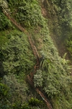 Java;Indonesia;Asia;South-East-Asia;Southeast-Asia;Coban-Sewu;Tumpac-Sewu;East-Java;Java;Indonesia;Pronojiwo-District;Lumajang-Regency;Ampelgading-District;Malang-Regency;jungle;forest;stair;stairs;stairway;stairways;ladder;ladders;risky;dangerous;adventure;East-Java