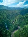 Indonesia;aerial;aerial-photo;aerial-photograph;aerial-photographs;aerial-photography;aerial-photos;aerial-view;aerial-views;aerials;drone-aerial;drone;Java;East-Java;Indonesia;Asia;South-East-Asia;Southeast-Asia;cascade;cascades;falls;scene;scenic;water;water-fall;water-falls;waterfall;waterfalls;river;rivers;Tumpak-Sewu;Thousand-Waterfalls;Tumpak-Sewu-Falls;Tumpak-Sewu-Waterfall;Tumpak-Sewu-Waterfalls;Coban-Sewu;Coban-Sewu-Falls;Coban-Sewu-Waterfall;Coban-Sewu-Waterfalls;Glidik-River;Lumajang;forest;forests;jungle;jungles;tropical-jungle;tropical;tropical-jungle;tropical-forest;tropical-forests;rainforest;rainforests