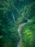 Indonesia;aerial;aerial-photo;aerial-photograph;aerial-photographs;aerial-photography;aerial-photos;aerial-view;aerial-views;aerials;drone-aerial;drone;Java;East-Java;Indonesia;Asia;South-East-Asia;Southeast-Asia;cascade;cascades;falls;scene;scenic;water;water-fall;water-falls;waterfall;waterfalls;river;rivers;Tumpak-Sewu;Thousand-Waterfalls;Tumpak-Sewu-Falls;Tumpak-Sewu-Waterfall;Tumpak-Sewu-Waterfalls;Coban-Sewu;Coban-Sewu-Falls;Coban-Sewu-Waterfall;Coban-Sewu-Waterfalls;Glidik-River;Lumajang;forest;forests;jungle;jungles;tropical-jungle;tropical;tropical-jungle;tropical-forest;tropical-forests;rainforest;rainforests