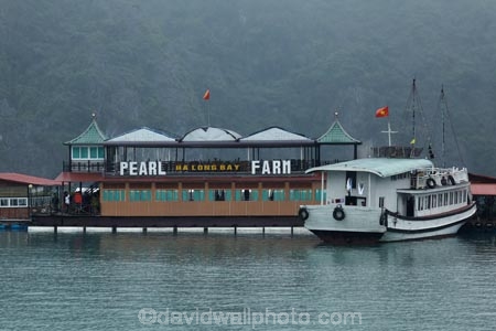 aqua-farm;aqua-farming;aquafarms;aqufarm;Asia;boat;boats;cruise-boat;cruise-boats;cruising;fog;foggy;fogs;Ha-Long-Bay;Halong-Bay;Halong-Bay-Pearl-Farm;mist;mists;misty;North-Vietnam;Northern-Vietnam;pearl-farm;pearl-farms;Qung-Ninh-Province;Quang-Ninh-Province;South-East-Asia;Southeast-Asia;tour-boat;tour-boats;tourism;tourist;tourist-boat;tourist-boats;tourists;travel-destination;UN-world-heritage-area;UN-world-heritage-site;UNESCO-World-Heritage-area;UNESCO-World-Heritage-Site;united-nations-world-heritage-area;united-nations-world-heritage-site;Vnh-H-Long;Vietnam;Vietnamese;world-heritage;world-heritage-area;world-heritage-areas;World-Heritage-Park;World-Heritage-site;World-Heritage-Sites