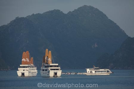 Asia;boat;boats;cruise-boat;cruise-boats;cruising;Ha-Long-Bay;Halong-Bay;junk;junks;North-Vietnam;Northern-Vietnam;Paradise-Luxury;Paradise-Luxury-Boat;Paradise-Luxury-Cruises;Qung-Ninh-Province;Quang-Ninh-Province;South-East-Asia;Southeast-Asia;tour-boat;tour-boats;tourism;tourist;tourist-boat;tourist-boats;tourist-junk;tourist-junks;tourists;travel-destination;UN-world-heritage-area;UN-world-heritage-site;UNESCO-World-Heritage-area;UNESCO-World-Heritage-Site;united-nations-world-heritage-area;united-nations-world-heritage-site;Vnh-H-Long;Vietnam;Vietnamese;world-heritage;world-heritage-area;world-heritage-areas;World-Heritage-Park;World-Heritage-site;World-Heritage-Sites