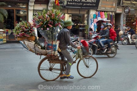 Asia;Asian;bicycle;bicycles;bike;bikes;cycle;cycler;cyclers;cycles;cyclist;cyclists;flower;flower-seller;flower-vendor;flowers;Hanoi;Hanoi-Old-Quarter;hawker;hawkers;heavy-load;motorbike;motorbikes;motorcycle;motorcycles;motorscooter;motorscooters;Old-Quarter;overload;overloaded;people;person;push-bike;push-bikes;push_bike;push_bikes;pushbike;pushbikes;scooter;scooters;South-East-Asia;Southeast-Asia;step_through;step_throughs;street;street-scene;street-scenes;street-vendor;street-vendors;streets;vendor;vendors;Vietnam;Vietnamese
