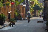 Asia;Asian-conical-hat;Asian-conical-hats;bicycle;bicycles;bike;bikes;Central-Sea-region;conical-hat;conical-hats;cycle;cycles;dog;dogs;female;females;Hi-An;Hoi-An;Hoi-An-Old-Town;Hoian;Indochina;ladies;lady;leaf-hat;leaf-hats;non-la;nón-lá;old-town;palm_leaf-conical-hat;people;person;push-bike;push-bikes;push_bike;push_bikes;pushbike;pushbikes;South-East-Asia;Southeast-Asia;street;street-scene;street-scenes;streets;UN-world-heritage-area;UN-world-heritage-site;UNESCO-World-Heritage-area;UNESCO-World-Heritage-Site;united-nations-world-heritage-area;united-nations-world-heritage-site;Vietnam;Vietnamese;Vietnamese-conical-hat;Vietnamese-conical-hats;Vietnamese-hat;Vietnamese-hats;Vietnamese-symbol;woman;women;world-heritage;world-heritage-area;world-heritage-areas;World-Heritage-Park;World-Heritage-site;World-Heritage-Sites