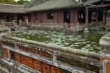 Cung-Dien-Tho;Cung-Diên-Th;Dien-Tho-Residence;heritage;historic;historic-place;historic-places;historical;historical-place;historical-places;history;Hu;Hue;Hue-Citadel;Hue-Imperial-Citadel;Imperial-Citadel-of-Hue;Imperial-City;Imperial-Enclosure;Kinh-Thanh;lily-pond;lily-ponds;North-Central-Coast;old;pond;ponds;Tha-Thiên_Hu-Province;The-Citadel;Thua-Thien_Hue-Province;tradition;traditional;UN-world-heritage-area;UN-world-heritage-site;UNESCO-World-Heritage-area;UNESCO-World-Heritage-Site;united-nations-world-heritage-area;united-nations-world-heritage-site;Vietnam;Vietnamese;world-heritage;world-heritage-area;world-heritage-areas;World-Heritage-Park;World-Heritage-site;World-Heritage-Sites;Asia