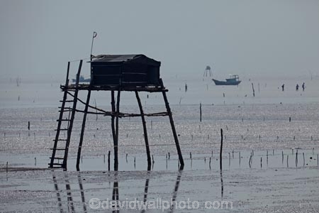 Asia;Asian;fishing;fishing-hut;fishing-huts;hut;huts;Mekong-Delta;muddy-flats;muddy-tidal-flats;South-East-Asia;Southeast-Asia;stilt-house;stilts;Tan-Thanh;Tan-Thanh-beach;tidal;tidal-flats;tide;Tien-Giang;Tien-Giang-Province;Vietnam;Vietnamese;water