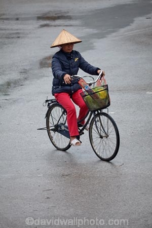 Asia;Asian-conical-hat;Asian-conical-hats;bicycle;bicycles;bike;bikes;conical-hat;conical-hats;cycle;cycler;cyclers;cycles;cyclist;cyclists;female;females;leaf-hat;leaf-hats;Ninh-Binh;Ninh-BÃ¬nh-province;Ninh-Hai;non-la;Northern-Vietnam;nÃ³n-lÃ¡;palm_leaf-conical-hat;people;person;push-bike;push-bikes;push_bike;push_bikes;pushbike;pushbikes;rain;raining;rainy;South-East-Asia;Southeast-Asia;street;street-scene;street-scenes;streets;Van-Lam-Village;Vietnam;Vietnamese;Vietnamese-conical-hat;Vietnamese-conical-hats;Vietnamese-hat;Vietnamese-hats;Vietnamese-symbol;women