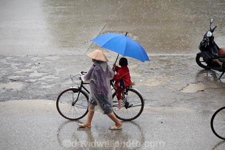 Asia;Asian-conical-hat;Asian-conical-hats;bicycle;bicycles;bike;bikes;brollies;brolly;conical-hat;conical-hats;cycle;cycler;cyclers;cycles;cyclist;cyclists;leaf-hat;leaf-hats;Ninh-Binh;Ninh-BÃ¬nh-province;Ninh-Hai;non-la;Northern-Vietnam;nÃ³n-lÃ¡;palm_leaf-conical-hat;people;person;push-bike;push-bikes;push_bike;push_bikes;pushbike;pushbikes;rain;raining;rainy;South-East-Asia;Southeast-Asia;street;street-scene;street-scenes;streets;umbrella;umbrellas;Van-Lam-Village;Vietnam;Vietnamese;Vietnamese-conical-hat;Vietnamese-conical-hats;Vietnamese-hat;Vietnamese-hats;Vietnamese-symbol