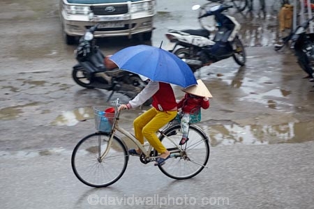 Asia;bicycle;bicycles;bike;bikes;brollies;brolly;child;children;cycle;cycler;cyclers;cycles;cyclist;cyclists;Ninh-Binh;Ninh-BÃ¬nh-province;Ninh-Hai;Northern-Vietnam;people;person;push-bike;push-bikes;push_bike;push_bikes;pushbike;pushbikes;rain;raining;rainy;South-East-Asia;Southeast-Asia;street;street-scene;street-scenes;streets;umbrella;umbrellas;Van-Lam-Village;Vietnam;Vietnamese