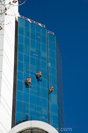 abseil;abseiler;abseilers;abseiling;Adelaide;Australasian;Australia;Australian;c.b.d.;cbd;central-business-district;cities;city;cityscape;cityscapes;dangerous-job;dangerous-jobs;dangerous-occupation;dangerous-ocupations;dangerous-profession;dangerous-professions;high;high-rise;high-rises;high_rise;high_rises;highrise;highrises;multi_storey;multi_storied;multistorey;multistoried;office;office-block;office-blocks;offices;risky-job;risky-jobs;risky-occupation;risky-occupations;risky-profession;risky-professions;S.A.;SA;sky-scraper;sky-scrapers;sky_scraper;sky_scrapers;skyscraper;skyscrapers;South-Australia;State-Capital;tower-block;tower-blocks;window-cleaner;window-cleaners;windowcleaner;windowcleaners