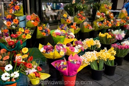 Adelaide;Australasian;Australia;Australian;bright;color;colorful;colour;colourful;flower;flower-shop;flower-shops;flower-stall;flower-stalls;flowers;mall;malls;pedestrian-mall;pedestrian-malls;Rundle-Mall;Rundle-St-Mall;Rundle-St.-Mall;Rundle-Street-Mall;S.A.;SA;shopping-mall;shopping-malls;South-Australia;stall;stalls;State-Capital