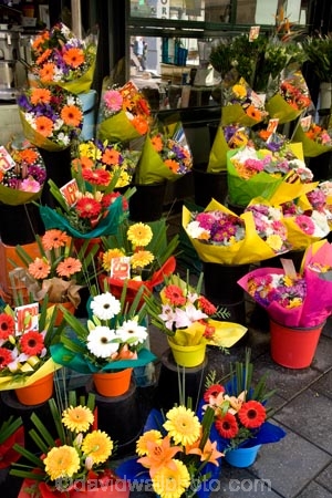 Adelaide;Australasian;Australia;Australian;bright;color;colorful;colour;colourful;flower;flower-shop;flower-shops;flower-stall;flower-stalls;flowers;mall;malls;pedestrian-mall;pedestrian-malls;Rundle-Mall;Rundle-St-Mall;Rundle-St.-Mall;Rundle-Street-Mall;S.A.;SA;shopping-mall;shopping-malls;South-Australia;stall;stalls;State-Capital