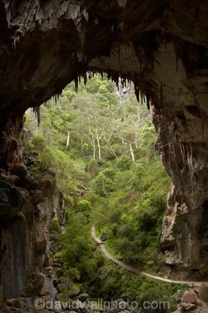 australasia;Australia;australian;Blue-Mountains;cave;cave-interior;cavern;cavernous;caverns;caves;caving;Devils-Coach-House;Devils-Coach-House;formation;geology;grotto;grottos;Jenolan-Caves;limestone;n.s.w.;natural-archway;Nettle-Cave;Nettles-Cave;New-South-Wales;nsw;rock;rock-formation;Rock-Formations;stalactite;stalactites;UN-world-heritage-site;underground;UNESCO-World-Heritage-Site;united-nations-world-heritage-si;world-heritage;world-heritage-area;world-heritage-areas;World-Heritage-Park;world-heritage-site;World-Heritage-Sites