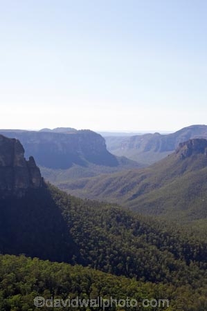Australasia;Australia;Australian;Blue-Mountains;Blue-Mountains-N.P.;Blue-Mountains-National-Park;Blue-Mountains-NP;bluff;bluffs;cliff;cliffs;escarpment;escarpments;eucalypt;eucalypts;eucalyptus;eucalytis;Govetts-Leap-Lookout;Grose-Valley;gum;gum-tree;gum-trees;gums;lookout;lookouts;mountainside;mountainsides;N.S.W.;New-South-Wales;NSW;panorama;panoramas;scene;scenes;scenic-view;scenic-views;steep;tree;trees;UN-world-heritage-site;UNESCO-World-Heritage-Site;united-nations-world-heritage-site;view;viewpoint;viewpoints;views;vista;vistas;world-heritage;world-heritage-area;world-heritage-areas;World-Heritage-Park;World-Heritage-site;World-Heritage-Sites