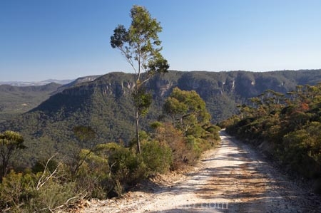 Australasia;Australia;Australian;Blue-Mountains;Blue-Mountains-N.P.;Blue-Mountains-National-Park;Blue-Mountains-NP;countryside;eucalypt;eucalypts;eucalyptus;eucalytis;Glenraphael-Dr;Glenraphael-Dr.;Glenraphael-Drive;gravel-road;gravel-roads;gum;gum-tree;gum-trees;gums;Katoomba;metal-road;metal-roads;metalled-road;metalled-roads;N.S.W.;Narrow-Neck;Narrow-Neck-Plateau;New-South-Wales;NSW;road;roads;rural;tree;trees;UN-world-heritage-site;UNESCO-World-Heritage-Site;united-nations-world-heritage-site;world-heritage;world-heritage-area;world-heritage-areas;World-Heritage-Park;World-Heritage-site;World-Heritage-Sites