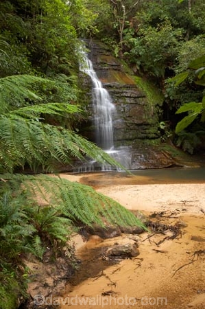 Australasia;Australia;Australian;Blue-Mountains;Blue-Mountains-N.P.;Blue-Mountains-National-Park;Blue-Mountains-NP;cascade;cascades;creek;creeks;falls;Leura;N.S.W.;natural;nature;New-South-Wales;NSW;pool;Pool-of-Siloam;pools;scene;scenic;stream;streams;UN-world-heritage-site;UNESCO-World-Heritage-Site;united-nations-world-heritage-site;water;water-fall;water-falls;waterfall;waterfalls;wet;world-heritage;world-heritage-area;world-heritage-areas;World-Heritage-Park;World-Heritage-site;World-Heritage-Sites