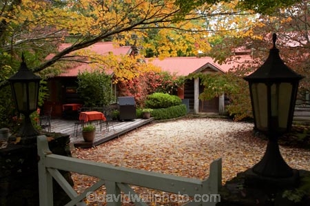 Australia;autuminal;autumn;autumn-colour;autumn-colours;autumnal;Blue-Mountains;cafe;cafes;Chimney-Cottage-Cafe;Chimney-Cottage-Heritage-Cafe;color;colors;colour;colours;deciduous;fall;gate;lamp;leaf;leaves;Mount-Wilson;Mt-Wilson;Mt.-Wilson;N.S.W.;New-South-Wales;NSW;Queens-Ave;Queens-Avenue;season;seasonal;seasons;tree;trees