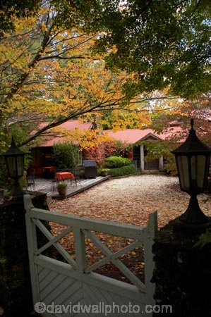 Australia;autuminal;autumn;autumn-colour;autumn-colours;autumnal;Blue-Mountains;cafe;cafes;Chimney-Cottage-Cafe;Chimney-Cottage-Heritage-Cafe;color;colors;colour;colours;deciduous;fall;gate;lamp;leaf;leaves;Mount-Wilson;Mt-Wilson;Mt.-Wilson;N.S.W.;New-South-Wales;NSW;Queens-Ave;Queens-Avenue;season;seasonal;seasons;tree;trees