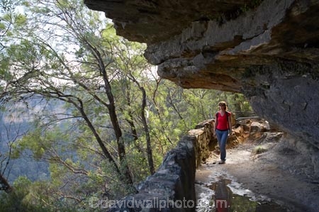Australia;Blue-Mountains;Blue-Mountains-N.P.;Blue-Mountains-National-Park;Blue-Mountains-NP;bluff;bluffs;cliff;cliffs;escarpment;escarpments;female;females;hike;hiker;hikers;hiking;hiking-track;hiking-tracks;Jamison-Valley;mountainside;mountainsides;N.S.W.;New-South-Wales;NSW;overhang;overhangs;people;person;steep;track;tracks;trail;trails;tramp;tramper;trampers;tramping;trek;treker;trekers;treking;trekker;trekkers;trekking;UN-world-heritage-site;Under-Cliff-Track;Undercliff-Track;Undercliff-Trail;UNESCO-World-Heritage-Site;united-nations-world-heritage-site;walk;walker;walkers;walking;walking-track;walking-tracks;walking-trail;walking-trails;Wentworth-Falls;woman;women;world-heritage;world-heritage-area;world-heritage-areas;World-Heritage-Park;World-Heritage-site;World-Heritage-Sites