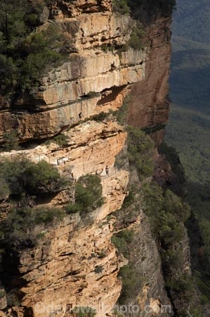 Australia;Blue-Mountains;Blue-Mountains-N.P.;Blue-Mountains-National-Park;Blue-Mountains-NP;bluff;bluffs;cliff;cliffs;escarpment;escarpments;mountainside;mountainsides;N.S.W.;National-Pass-Track;National-Pass-Trail;New-South-Wales;NSW;steep;trail;trails;UN-world-heritage-site;UNESCO-World-Heritage-Site;united-nations-world-heritage-site;walking-trail;walking-trails;Wentworth-Falls;world-heritage;world-heritage-area;world-heritage-areas;World-Heritage-Park;World-Heritage-site;World-Heritage-Sites