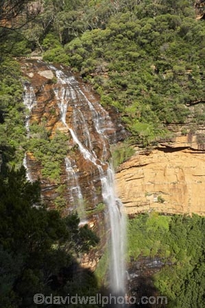 Australia;Blue-Mountains;Blue-Mountains-N.P.;Blue-Mountains-National-Park;Blue-Mountains-NP;bluff;bluffs;cascade;cascades;cliff;cliff-face;cliffs;creek;creeks;escarpment;escarpments;falls;mountainside;mountainsides;N.S.W.;National-Pass-Trail;natural;nature;New-South-Wales;NSW;scene;scenic;steep;stream;streams;UN-world-heritage-site;UNESCO-World-Heritage-Site;united-nations-world-heritage-site;water;water-fall;water-falls;waterfall;waterfalls;Wentworth-falls;wet;world-heritage;world-heritage-area;world-heritage-areas;World-Heritage-Park;World-Heritage-site;World-Heritage-Sites
