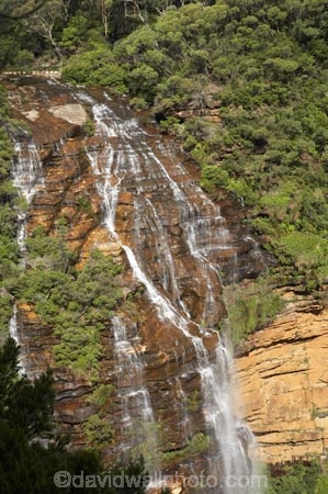 Australia;Blue-Mountains;Blue-Mountains-N.P.;Blue-Mountains-National-Park;Blue-Mountains-NP;bluff;bluffs;cascade;cascades;cliff;cliff-face;cliffs;creek;creeks;escarpment;escarpments;falls;mountainside;mountainsides;N.S.W.;National-Pass-Trail;natural;nature;New-South-Wales;NSW;scene;scenic;steep;stream;streams;UN-world-heritage-site;UNESCO-World-Heritage-Site;united-nations-world-heritage-site;water;water-fall;water-falls;waterfall;waterfalls;Wentworth-falls;wet;world-heritage;world-heritage-area;world-heritage-areas;World-Heritage-Park;World-Heritage-site;World-Heritage-Sites