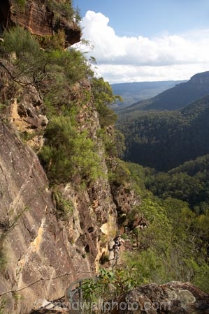 Australia;Blue-Mountains;Blue-Mountains-N.P.;Blue-Mountains-National-Park;Blue-Mountains-NP;bluff;bluffs;cliff;cliff-face;cliffs;escarpment;escarpments;hike;hiker;hikers;hiking;hiking-track;hiking-tracks;Jamison-Valley;mountainside;mountainsides;N.S.W.;National-Pass-Track;National-Pass-Trail;New-South-Wales;NSW;steep;track;tracks;trail;trails;tramp;tramper;trampers;tramping;trek;treker;trekers;treking;trekker;trekkers;trekking;UN-world-heritage-site;UNESCO-World-Heritage-Site;united-nations-world-heritage-site;walk;walker;walkers;walking;walking-track;walking-tracks;walking-trail;walking-trails;Wentworth-Falls;world-heritage;world-heritage-area;world-heritage-areas;World-Heritage-Park;World-Heritage-site;World-Heritage-Sites