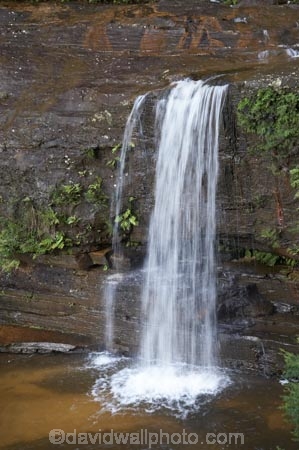 Australia;Blue-Mountains;Blue-Mountains-N.P.;Blue-Mountains-National-Park;Blue-Mountains-NP;cascade;cascades;cliff-face;creek;creeks;falls;N.S.W.;National-Pass-Track;National-Pass-Trail;natural;nature;New-South-Wales;NSW;scene;scenic;stream;streams;UN-world-heritage-site;UNESCO-World-Heritage-Site;united-nations-world-heritage-site;water;water-fall;water-falls;waterfall;waterfalls;Wentworth-falls;wet;world-heritage;world-heritage-area;world-heritage-areas;World-Heritage-Park;World-Heritage-site;World-Heritage-Sites