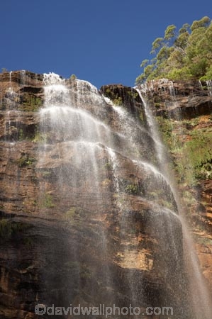 Australia;Blue-Mountains;Blue-Mountains-N.P.;Blue-Mountains-National-Park;Blue-Mountains-NP;bluff;bluffs;cascade;cascades;cliff;cliff-face;cliffs;creek;creeks;escarpment;escarpments;falls;mountainside;mountainsides;N.S.W.;National-Pass-Track;National-Pass-Trail;natural;nature;New-South-Wales;NSW;scene;scenic;steep;stream;streams;UN-world-heritage-site;UNESCO-World-Heritage-Site;united-nations-world-heritage-site;water;water-fall;water-falls;waterfall;waterfalls;Wentworth-Falls;wet;world-heritage;world-heritage-area;world-heritage-areas;World-Heritage-Park;World-Heritage-site;World-Heritage-Sites