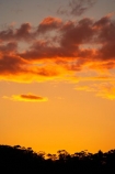 Australasia;Australia;Australian;Blue-Mountains;Blue-Mountains-N.P.;Blue-Mountains-National-Park;Blue-Mountains-NP;dusk;evening;Jamison-Valley;Katoomba;N.S.W.;New-South-Wales;nightfall;NSW;orange;sky;sunset;sunsets;twilight;UN-world-heritage-site;UNESCO-World-Heritage-Site;united-nations-world-heritage-site;world-heritage;world-heritage-area;world-heritage-areas;World-Heritage-Park;World-Heritage-site;World-Heritage-Sites