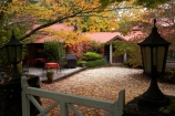 Australia;autuminal;autumn;autumn-colour;autumn-colours;autumnal;Blue-Mountains;cafe;cafes;Chimney-Cottage-Cafe;Chimney-Cottage-Heritage-Cafe;color;colors;colour;colours;deciduous;fall;gate;lamp;leaf;leaves;Mount-Wilson;Mt-Wilson;Mt.-Wilson;N.S.W.;New-South-Wales;NSW;Queens-Ave;Queens-Avenue;season;seasonal;seasons;tree;trees