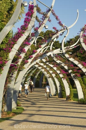 arbours;art;art-work;art-works;Australia;bourganvilia;bourganvillia;Brisbane;footpath;footpaths;Grand-Arbour;Mangrove-Boardwalk,-Botanic-Gar;path;pathway;pedestrian;plants;public-art;Queensland;South-Bank-Parklands;trellis;walkway