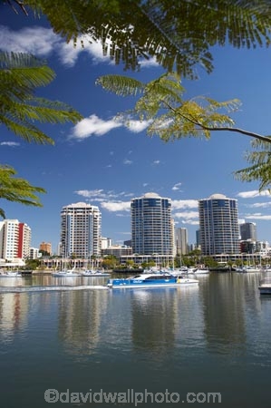 apartment;apartments;Australasia;australasian;Australia;australian;boat;boats;Brisbane;Brisbane-River;c.b.d.;cat-catamaran;catamarans;cbd;central-business-district;cities;city;city-cat;City-Cat-Passenger-Ferry;cityscape;cityscapes;commute;commuters;Dockside-Apartments;ferries;ferry;high-rise;high-rises;high_rise;high_rises;highrise;highrises;Kangaroo-Point;multi_storey;multi_storied;multistorey;multistoried;office;office-block;office-blocks;offices;passenger-ferries;passenger-ferry;Qld;Queensland;residential;residential-apartment;residential-apartments;residential-building;residential-buildings;river;rivers;sky-scraper;sky-scrapers;sky_scraper;sky_scrapers;skyscraper;skyscrapers;tower-block;tower-blocks;transport;transportation