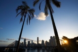 Australasia;Australia;Australian;Brisbane;Brisbane-River;dusk;evening;nightfall;palm;palm-tree;palm-trees;palms;Petrie-Bight;Qld;Queensland;river;rivers;sky;Story-Bridge;twilight