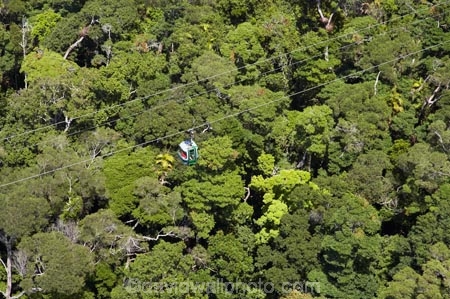 aerial;aerial-photo;aerial-photograph;aerial-photographs;aerial-photography;aerial-photos;aerial-view;aerial-views;aerials;Australasian;Australia;Australian;Barron-Gorge;Barron-Gorge-National-Park;beautiful;beauty;bush;cable-car;cable-cars;cable-way;cable-ways;cableway;cableways;Cairns;endemic;forest;forests;gondola;green;Kuranda;lush;McAlister-Range;native;native-bush;natural;nature;North-Queensland;Qld;Queensland;rain-forest;rain-forests;rain_forest;rain_forests;rainforest;rainforest-canopy;rainforests;scene;scenic;Sky-Rail;Skyrail;Skyrail-Rainforest-Cableway;tourism;travel;tree;tree-tops;trees;tropical-rainforest;tropical-rainforests;wood;woods