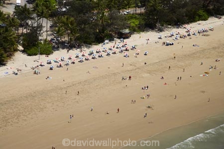aerial;aerial-photo;aerial-photograph;aerial-photographs;aerial-photography;aerial-photos;aerial-view;aerial-views;aerials;Australasian;Australia;Australian;bathe;bather;bathers;bathing;beach;beaches;coast;coastal;coastline;coastlines;coasts;Coral-Sea;excitement;exciting;Four-Mile-Beach;freedom;holiday;holiday-destination;holiday-destinations;holidays;hot;leisure;North-Queensland;ocean;oceans;people;person;persons;play;playing;Port-Douglas;Qld;Queensland;recreation;relax;relaxing;sand;sand-sandy;sandy;sea;seas;shore;shoreline;shorelines;shores;sport;summer;sun-bake;sun-baking;sun_bathe;sun_bather;sun_bathers;sun_bathing;sunbathe;sunbather;sunbathers;sunbathing;tourism;travel;Trinity-Bay;Tropcial-North-Queensland;tropical;vacation;vacations;water;wet;yellow-sand