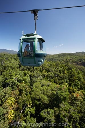 Australasian;Australia;Australian;Barron-Gorge-National-Park;beautiful;beauty;bush;cable-car;cable-cars;cable-way;cable-ways;cableway;cableways;Cairns;endemic;forest;forests;gondola;green;Kuranda;lush;McAlister-Range;native;native-bush;natural;nature;North-Queensland;Qld;Queensland;rain-forest;rain-forests;rain_forest;rain_forests;rainforest;rainforest-canopy;rainforests;scene;scenic;Sky-Rail;Skyrail;Skyrail-Rainforest-Cableway;tourism;travel;tree;trees;Tropical-North-Queensland;tropical-rainforest;tropical-rainforests;wood;woods