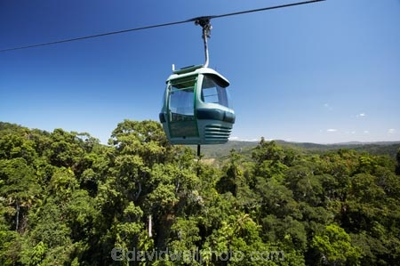 Australasian;Australia;Australian;Barron-Gorge-National-Park;beautiful;beauty;bush;cable-car;cable-cars;cable-way;cable-ways;cableway;cableways;Cairns;endemic;forest;forests;gondola;green;Kuranda;lush;McAlister-Range;native;native-bush;natural;nature;North-Queensland;Qld;Queensland;rain-forest;rain-forests;rain_forest;rain_forests;rainforest;rainforest-canopy;rainforests;scene;scenic;Sky-Rail;Skyrail;Skyrail-Rainforest-Cableway;tourism;travel;tree;trees;Tropical-North-Queensland;tropical-rainforest;tropical-rainforests;wood;woods