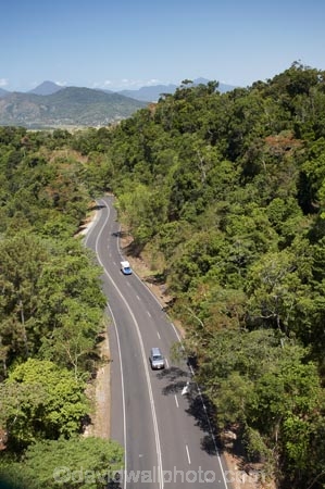 Australasian;Australia;Australian;beautiful;beauty;bend;bends;bush;Cairns;centre-line;centre-lines;centre_line;centre_lines;centreline;centrelines;corner;corners;driving;endemic;forest;forests;green;highway;highways;native;native-bush;natural;nature;North-Queensland;open-road;open-roads;Qld;Queensland;rain-forest;rain-forests;rain_forest;rain_forests;rainforest;rainforests;road;road-trip;roads;scene;scenic;transport;transportation;travel;traveling;travelling;tree;trees;trip;Tropical-North-Queensland;tropical-rainforest;tropical-rainforests;wood;woods