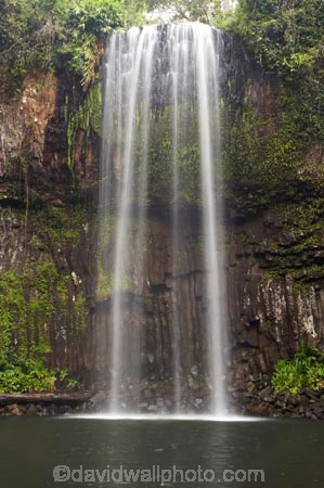 Atherton-Tableland;Atherton-Tablelands;Australasian;Australia;Australian;cascade;cascades;creek;creeks;falls;Millaa-Millaa-Falls;Millaa-Millaa-Waterfall;Millaa-Millaa-Waterfalls;natural;nature;North-Queensland;Qld;Queensland;scene;scenic;stream;streams;tropical-rainforest;tropical-rainforests;water;water-fall;water-falls;waterfall;waterfalls;wet