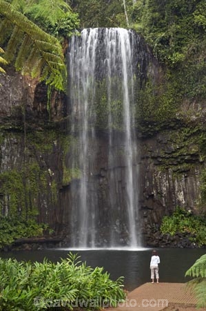 Atherton-Tableland;Atherton-Tablelands;Australasian;Australia;Australian;cascade;cascades;creek;creeks;falls;Millaa-Millaa-Falls;Millaa-Millaa-Waterfall;Millaa-Millaa-Waterfalls;natural;nature;North-Queensland;Qld;Queensland;scene;scenic;stream;streams;tourism;tourist;tourists;tropical-rainforest;tropical-rainforests;water;water-fall;water-falls;waterfall;waterfalls;wet