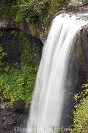 Atherton-Tableland;Atherton-Tablelands;Australasian;Australia;Australian;cascade;cascades;creek;creeks;falls;Millaa-Millaa;natural;nature;North-Queensland;Qld;Queensland;scene;scenic;stream;streams;tropical-rainforest;tropical-rainforests;water;water-fall;water-falls;waterfall;waterfalls;wet;Zillie-Falls;Zillie-Waterfall;Zillie-Waterfalls