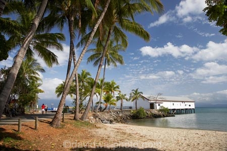 Australasian;Australia;Australian;beach;beaches;coast;coastal;coastline;Coral-Sea;Dicksons-Inlet;holiday;holiday-destination;holiday-destinations;holidays;jetties;jetty;North-Queensland;ocean;oceans;palm;palm-tree;palm-trees;palms;pier;piers;Port-Douglas;Port-Douglas-Park;Pt-Douglas;Pt.-Douglas;Qld;quay;Queensland;sand;sandy;sea;seas;shore;shoreline;tourism;travel;Tropcial-North-Queensland;tropical;vacation;vacations;waterside;wharf;Wharf-Building;wharfes;wharves