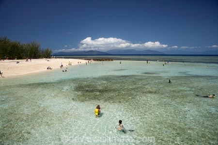 australasian;Australia;australian;Barrier-Reef;bathe;bather;bathers;bathing;beach;beaches;cairns;cay;cays;coast;coastal;coastline;coastlines;coasts;coral-cay;coral-cays;coral-reef;coral-reefs;Coral-Sea;dive-site;dive-sites;Ecosystem;Environment;excitement;exciting;freedom;Great-Barrier-Reef;Great-Barrier-Reef-Marine-Park;Green-Is;Green-Is-NP;Green-Is.;green-island;Green-Island-N.P.;Green-Island-National-Park;Green-Island-NP;Green-Island-Resort;holiday;holiday-destination;holiday-destinations;Holidays;hot;leisure;marine-environment;North-Queensland;ocean;oceans;people;person;persons;play;playing;Qld;queensland;recreation;reef;reefs;relax;relaxing;sand;sand-cay;sand-cays;sand-sandy;sandy;sea;seas;shore;shoreline;shorelines;shores;south-pacific;sport;summer;swim;swimmer;swimmers;swimming;tasman-sea;tourism;travel;Tropcial-North-Queensland;tropical;tropical-reef;tropical-reefs;UNESCO-World-Heritage-Site;Vacation;Vacations;water;wet;Wiorld-Heritage-Site;world-heritage-area;World-Heritage-Park;world-heritage-site