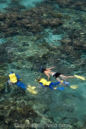 australasian;Australia;australian;Barrier-Reef;bikini;bikinis;boy;boys;cairns;cay;cays;child;children;coast;coastal;coastline;coastlines;coasts;coral-cay;coral-cays;coral-reef;coral-reefs;Coral-Sea;dive-site;dive-sites;diver;divers;Ecosystem;Environment;families;family;girl;girls;Great-Barrier-Reef;Great-Barrier-Reef-Marine-Park;Green-Is;Green-Is-NP;Green-Is.;green-island;Green-Island-N.P.;Green-Island-National-Park;Green-Island-NP;Green-Island-Resort;holiday;holiday-destination;holiday-destinations;holidaying;Holidays;marine-environment;mothe;North-Queensland;ocean;oceans;people;person;Persons;Qld;queensland;rash-suit;rash-suits;rashsuit;rashsuits;reef;reefs;sand-cay;sand-cays;sea;seas;shore;shoreline;shorelines;Shores;snorkel;snorkeler;snorkelers;snorkeling;south-pacific;stinger-suit;stinger-suits;swim;swimmer;swimmers;swimming;tasman-sea;tourism;tourist;tourists;travel;traveler;traveling;traveller;travelling;Tropcial-North-Queensland;tropical;tropical-reef;tropical-reefs;UNESCO-World-Heritage-Site;Vacation;Vacationers;vacationing;Vacations;water;Wiorld-Heritage-Site;woman;women;world-heritage-area;World-Heritage-Park;world-heritage-site