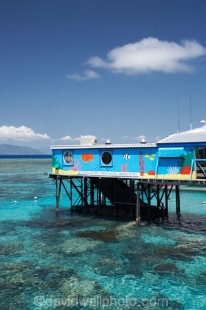 australasian;Australia;australian;Barrier-Reef;cairns;cay;cays;coast;coastal;coastline;coastlines;coasts;coral-cay;coral-cays;coral-reef;coral-reefs;Coral-Sea;dive-site;dive-sites;Ecosystem;Environment;Great-Barrier-Reef;Great-Barrier-Reef-Marine-Park;Green-Is;Green-Is-NP;Green-Is.;green-island;Green-Island-N.P.;Green-Island-National-Park;Green-Island-NP;Green-Island-Resort;Green-Island-Underwater-Observatory;holiday;holiday-destination;holiday-destinations;Holidays;marine-environment;North-Queensland;ocean;oceans;Qld;queensland;reef;reefs;sand-cay;sand-cays;sea;seas;shore;shoreline;shorelines;Shores;south-pacific;tasman-sea;tourism;travel;Tropcial-North-Queensland;tropical;tropical-reef;tropical-reefs;Underwater-Observatories;Underwater-Observatory;UNESCO-World-Heritage-Site;Vacation;Vacations;water;Wiorld-Heritage-Site;world-heritage-area;World-Heritage-Park;world-heritage-site
