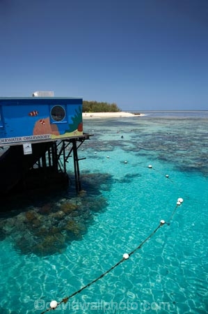 australasian;Australia;australian;Barrier-Reef;cairns;cay;cays;coast;coastal;coastline;coastlines;coasts;coral-cay;coral-cays;coral-reef;coral-reefs;Coral-Sea;dive-site;dive-sites;Ecosystem;Environment;Great-Barrier-Reef;Great-Barrier-Reef-Marine-Park;Green-Is;Green-Is-NP;Green-Is.;green-island;Green-Island-N.P.;Green-Island-National-Park;Green-Island-NP;Green-Island-Resort;Green-Island-Underwater-Observatory;holiday;holiday-destination;holiday-destinations;Holidays;marine-environment;North-Queensland;ocean;oceans;Qld;queensland;reef;reefs;sand-cay;sand-cays;sea;seas;shore;shoreline;shorelines;Shores;south-pacific;tasman-sea;tourism;travel;Tropcial-North-Queensland;tropical;tropical-reef;tropical-reefs;Underwater-Observatories;Underwater-Observatory;UNESCO-World-Heritage-Site;Vacation;Vacations;water;Wiorld-Heritage-Site;world-heritage-area;World-Heritage-Park;world-heritage-site